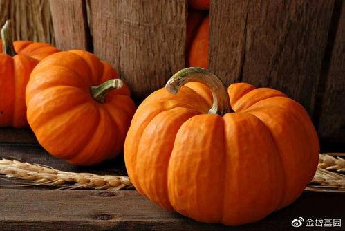 立秋吃生瓜,品味生瓜的清新与甘甜