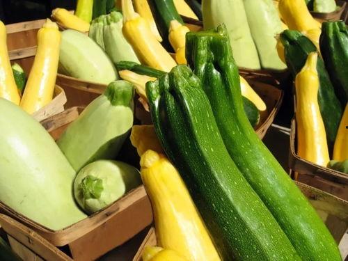 带你吃瓜全集,揭秘带你吃瓜全集中的精彩瞬间与幕后故事