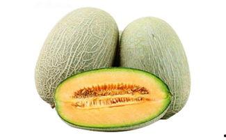 霉菌吃哈密瓜,揭秘哈密瓜变质的奥秘