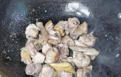 吃完鸡肉可以吃籽瓜,营养互补的完美搭配