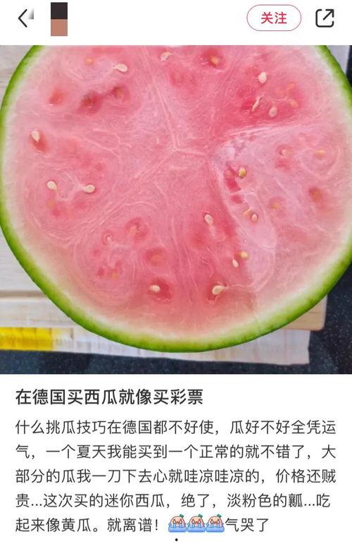 外国版吃瓜,揭秘国际版热门事件背后的热议与真相