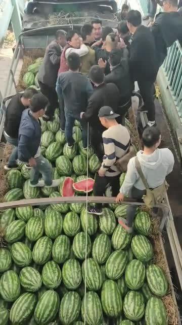 缅甸吃瓜群,揭秘东南亚的网络社交现象
