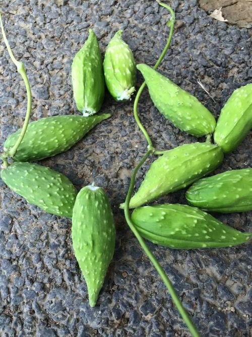 孕妇吃瓜好不好,营养与健康的双重考量