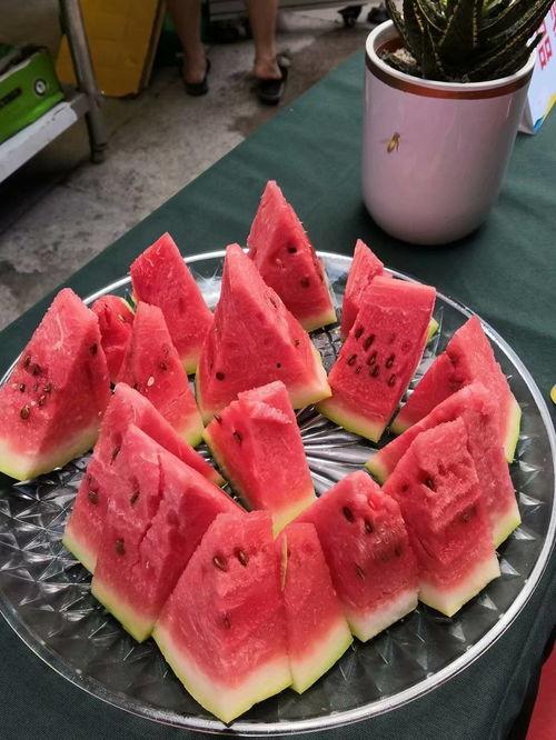 瓜哥吃瓜重庆,探寻重庆美食与文化的独特魅力