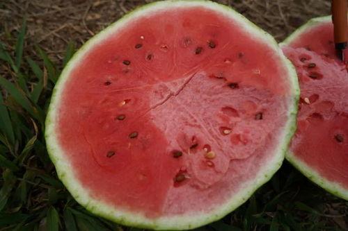 吃大瓜啦,吃大瓜啦，明星幕后故事大公开