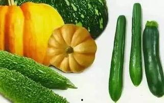 枯木吃瓜完结,一场奇幻冒险的完美落幕