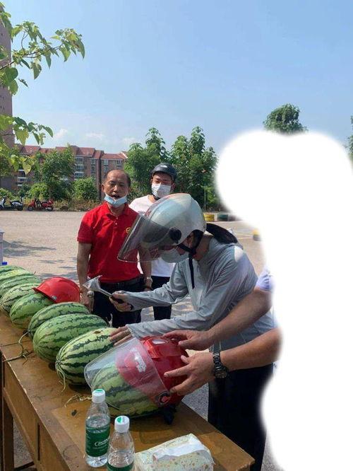 近日金寨吃瓜事件