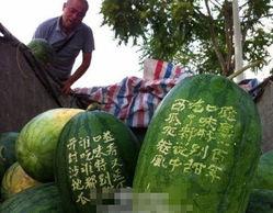 吃七八个瓜,揭秘七八个瓜的神奇魅力