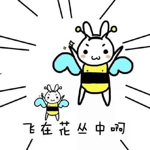 带你吃瓜小羊回家,一场温馨的回家之旅